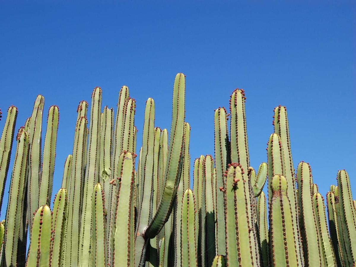 Los Lagos 20 By Villagrancanaria ซาโลเบร ภายนอก รูปภาพ
